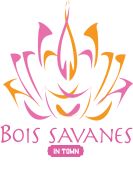 logo - Bois Savanes In Town